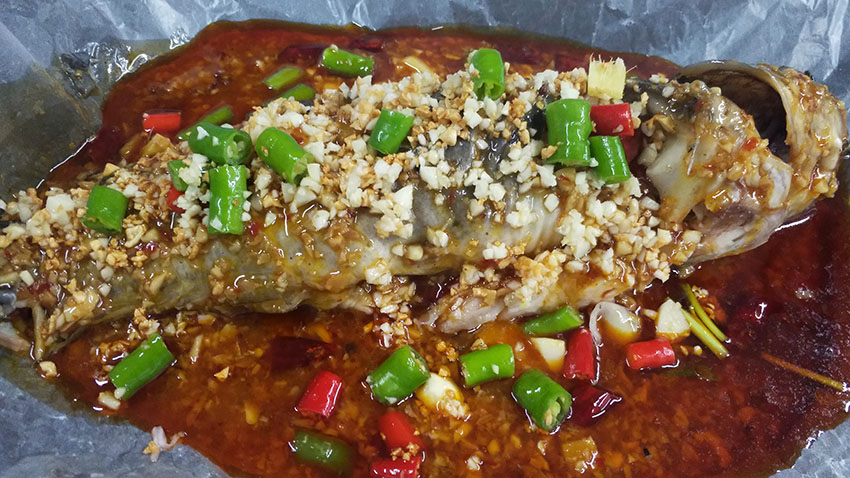 20230614145416860033.jpg 20230614145416860033.jpg