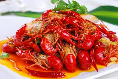 小龍蝦技術培訓機構在哪里？